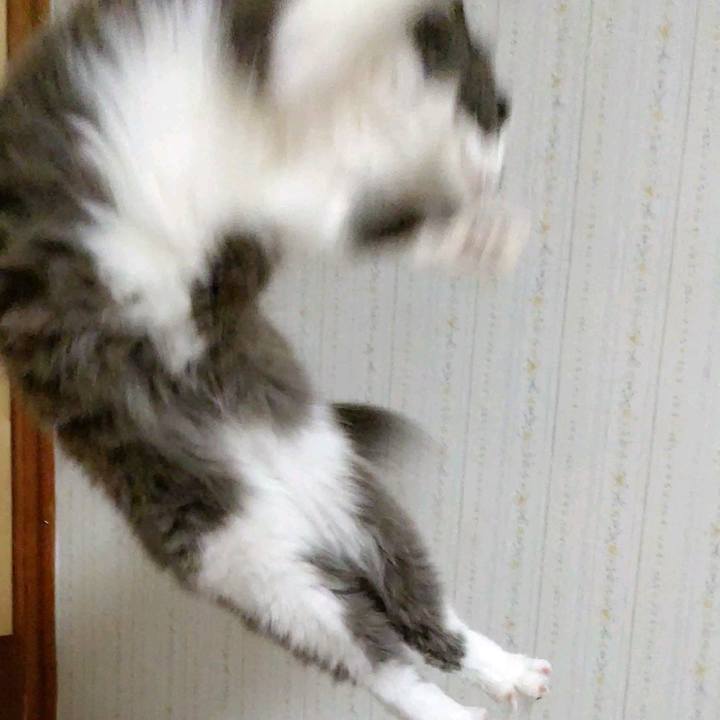 390aeffc 070e 49ca 99f4 ea5a82627531 1608288184502