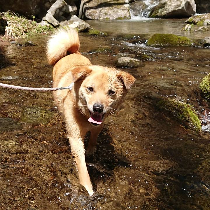 390b1179 5f1b 436f 9395 a62e63cf1943 1588738954027