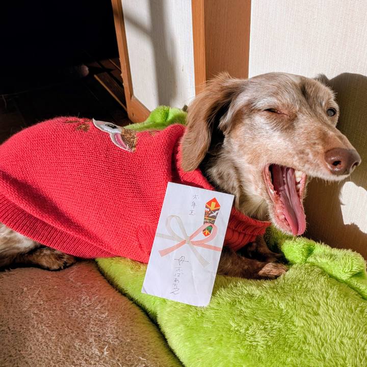 390b1af0 97b9 4ef8 aa6b 824ec68294e4 1767309017489