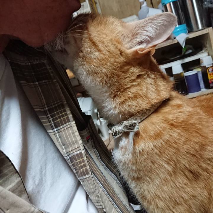 390b2602 4c59 41ab b256 bf2973557526 1591215276159