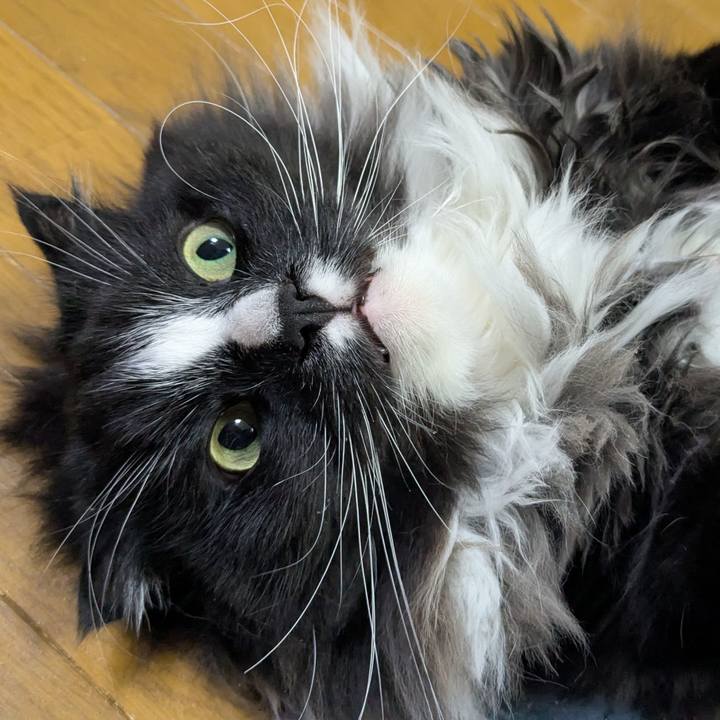 390b554b c671 4117 9835 7b635ec28847 1775685707158