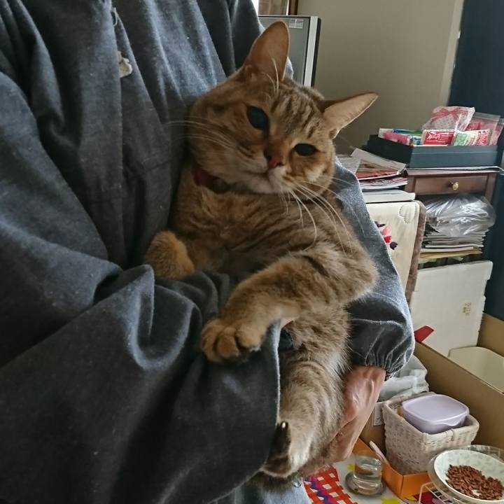 390b8a17 72c6 4278 901d 54efd0091d06 1510272611885