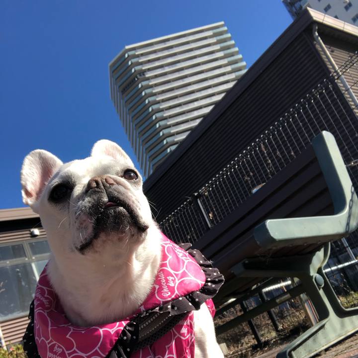 390bc996 6868 4111 af50 362355f208f0 1671940730288