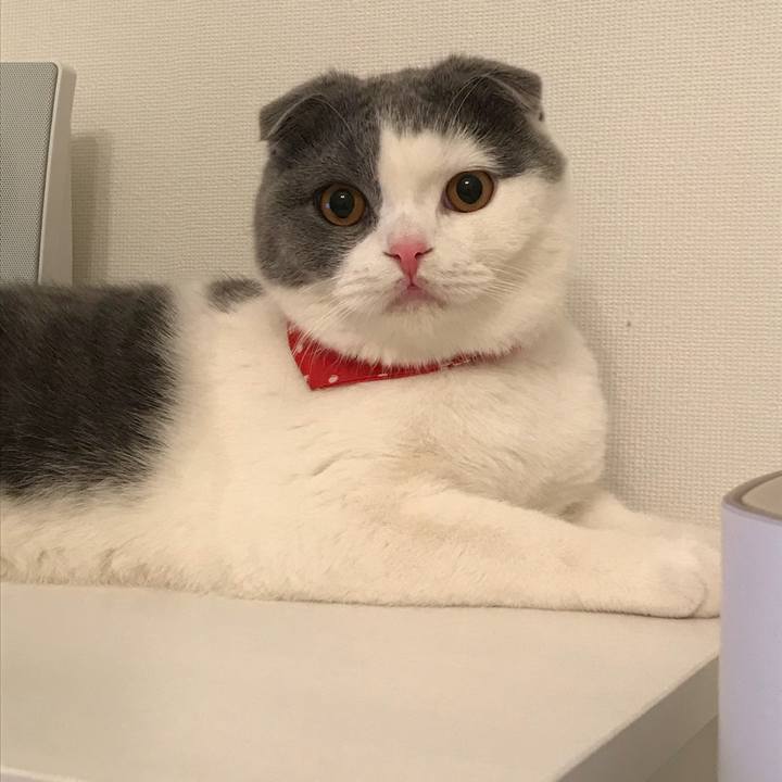 390be350 bff4 45ff ac88 4fb08fd3cf6f 1513377161592