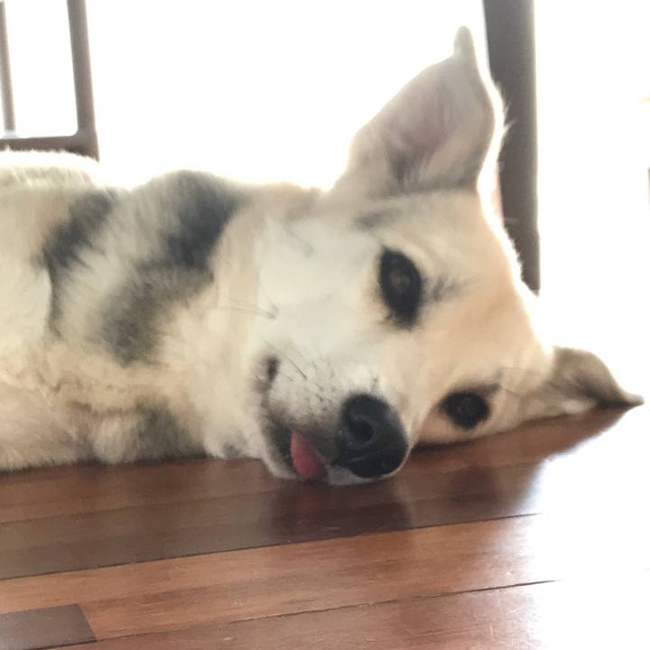 390be93a 2ac8 4989 b289 51dc07d1a7b1 1522810351148