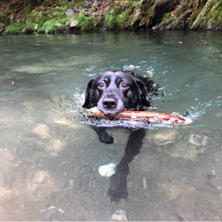 390c0d06 eb90 4faf aedc a914c0156569 1754270642280