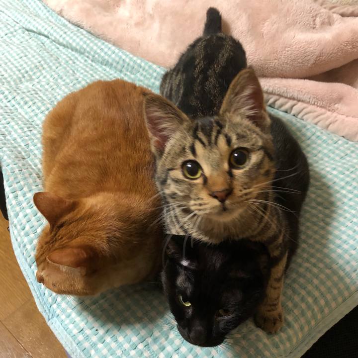 390c4fc1 d624 4f1c a535 37e753ad1f9a 1737374297048