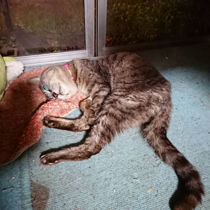 390c69ad b7d3 4b9c 9563 195b7b9a6356 1598010813037