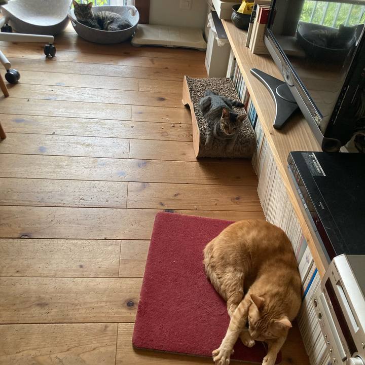 390c9865 ea22 4bb4 9a57 0208e8c7395a 1664804267782