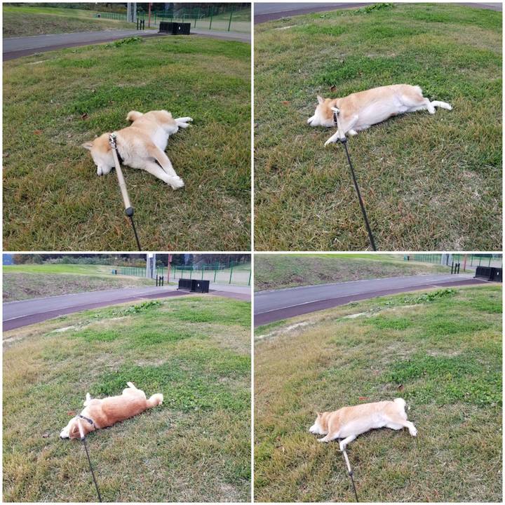 390ca3cb 11d9 4163 bcff c5e2e6488a9c 1700118539282