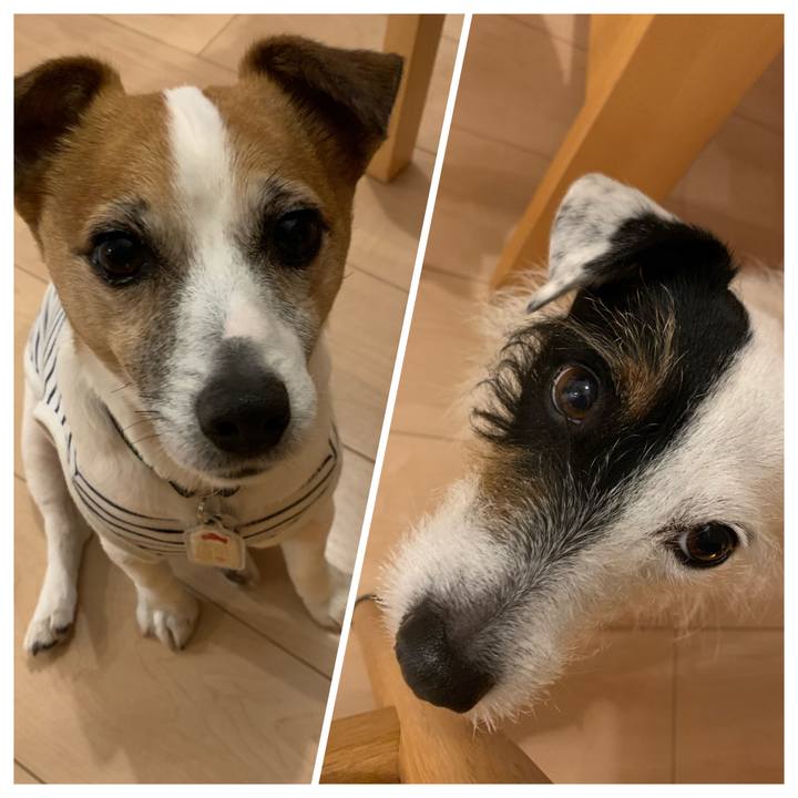 390ccdf3 a91f 4339 a3b3 602a4adf65b5 1614595529374