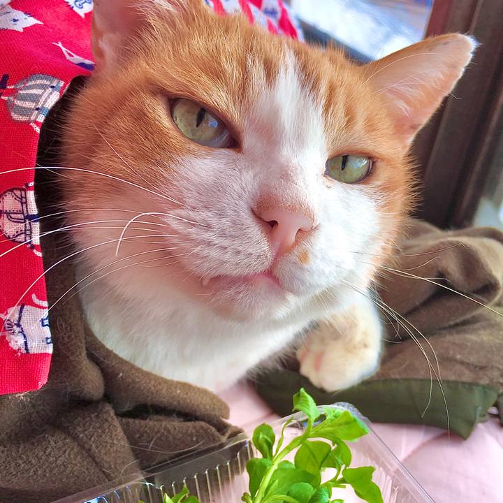 390d017d afdd 476f ada8 c3a31a26ff45 1578293365480