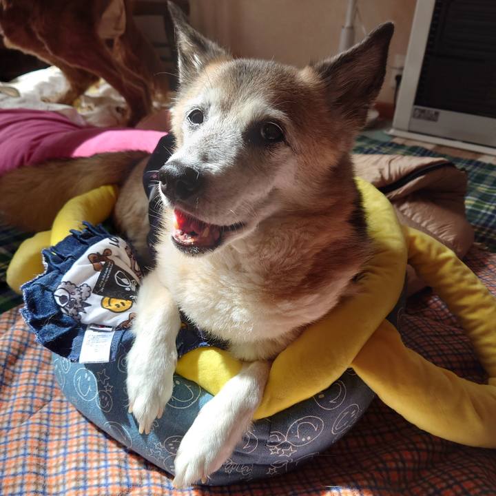 390d11f4 7114 4658 b3b9 9a8cbd16e9cf 1726969266941