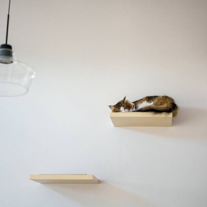 390d194d ab7b 4285 a043 6521cd2363ac 1709280686417