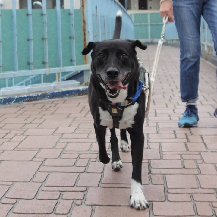 390d1a47 61fc 4721 aa48 add9deeaf466 1661125317370