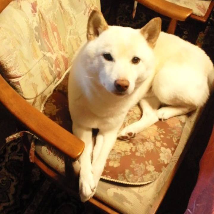 390d441e 5859 415a 833a d1ae5fdccea1 1656053641124