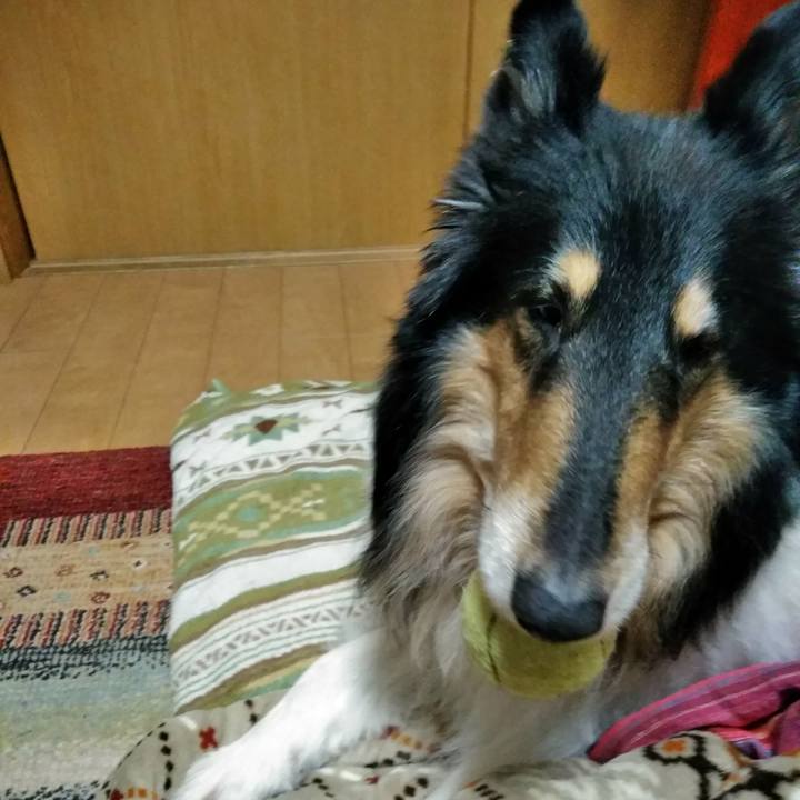 390d47fd 9638 45fd a20f 38bace3ae2b3 1511959414975