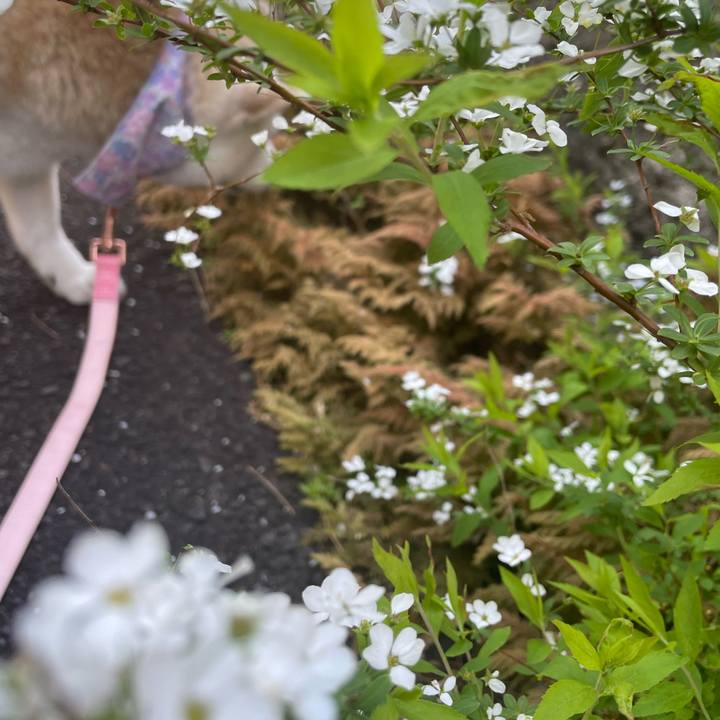 390d6505 dd6e 41e9 97ab ae37c2b8534c 1680315071267