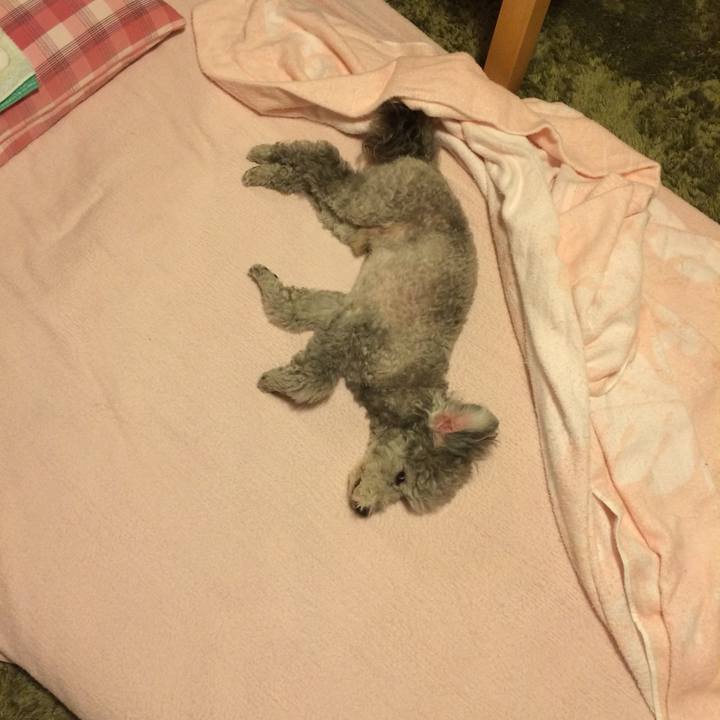 390d704d b6ff 40ff b12a 1481d6be03ea 1770596910416