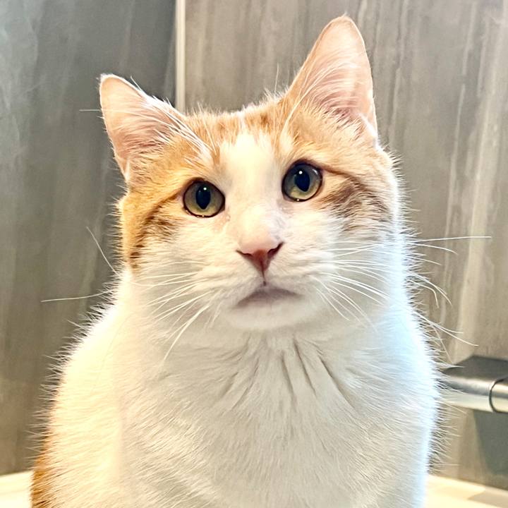 390d7623 9439 4b21 a1a8 7ff9bcb048ff 1764465719002