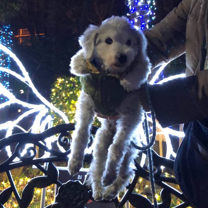 390d9534 999e 4aef 9faa f8de2fbc27fd 1641254724537