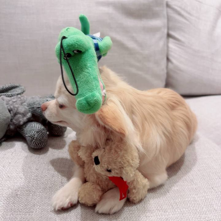 390dabbd efc9 405f b735 b376392ea6bb 1702290664665