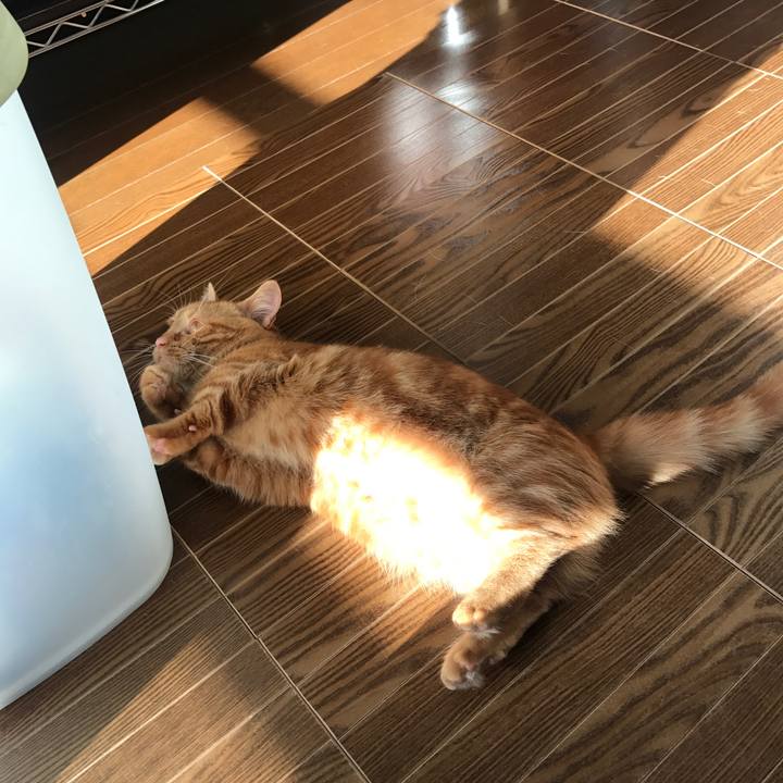 390db0cd 020f 41d0 a0bd c0c2363c6f15 1515717403890