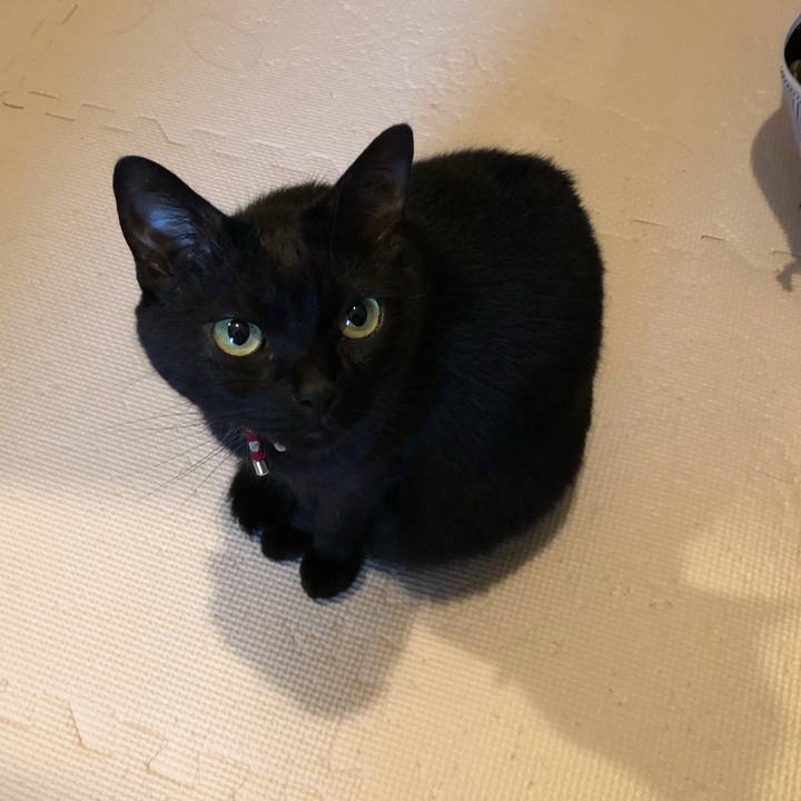 390dcbde 1ad6 459f ba29 c6068da32ccb 1621550875819