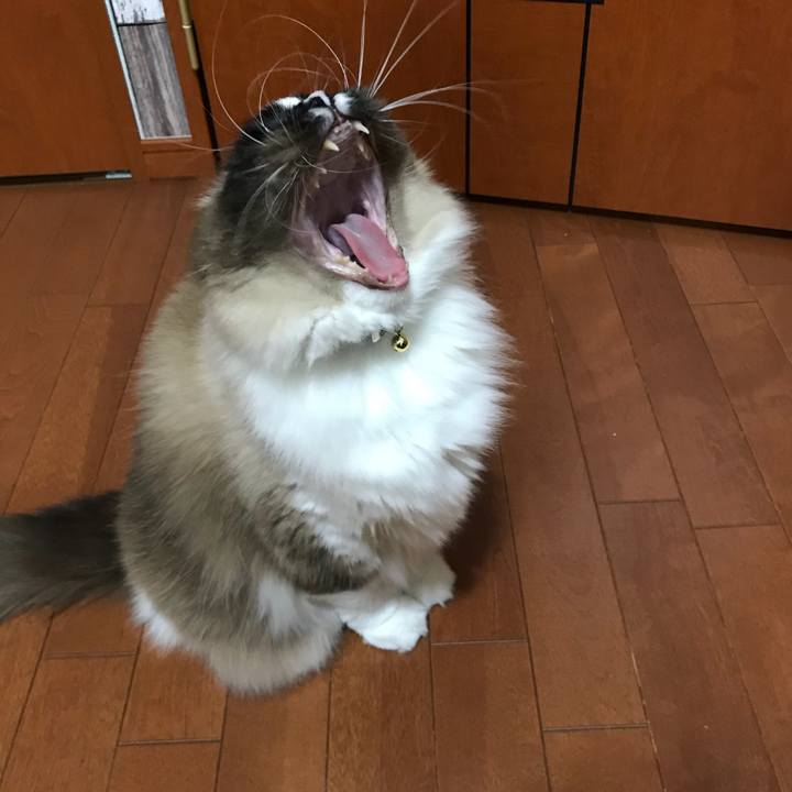 390de486 d63b 417f a0eb c793b16a63f2 1520548065977