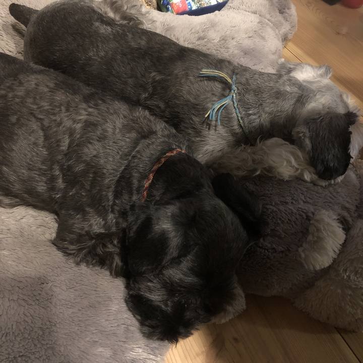 390ded78 cded 4a6d 85eb d67f7ac69f73 1570160108215