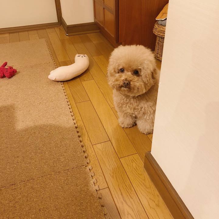 390e1971 55e7 482c 8bd1 09f99c007198 1513854017691