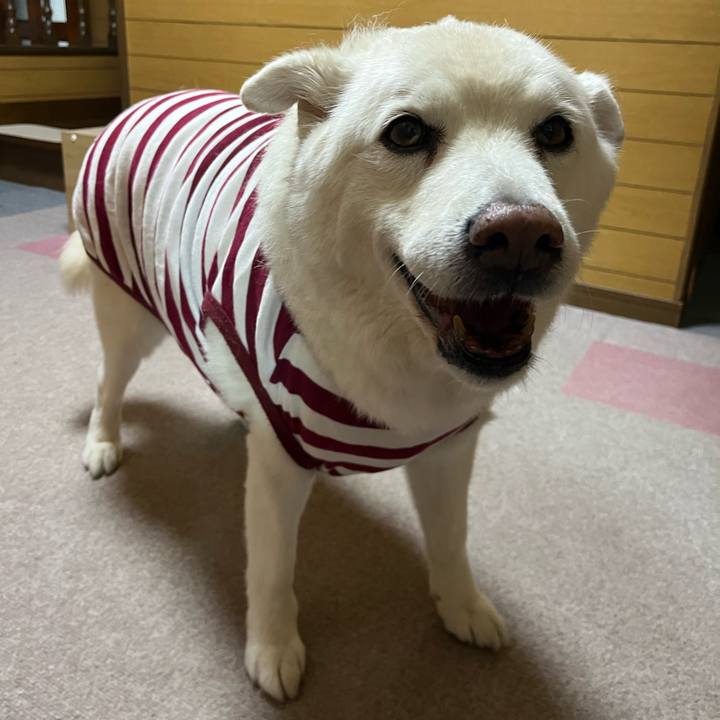 390e28ec f9d9 4698 b077 3aa66d2aef66 1766534496420