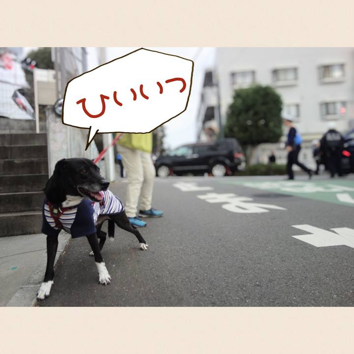 390e2e0a 8d36 4664 ab10 eb8281d5ca5f 1702691586060