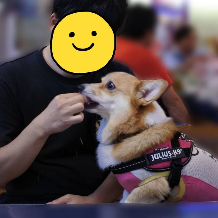 390e36f0 2eac 4650 9017 0e9b844c0292 1595253342103