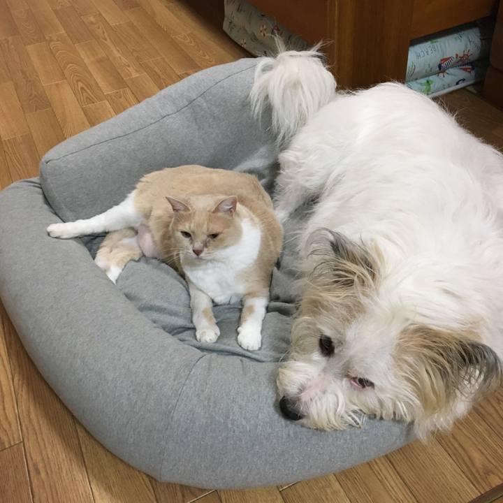 390e43cb 4680 4a97 b8f4 742cb65e4fc8 1508141954005