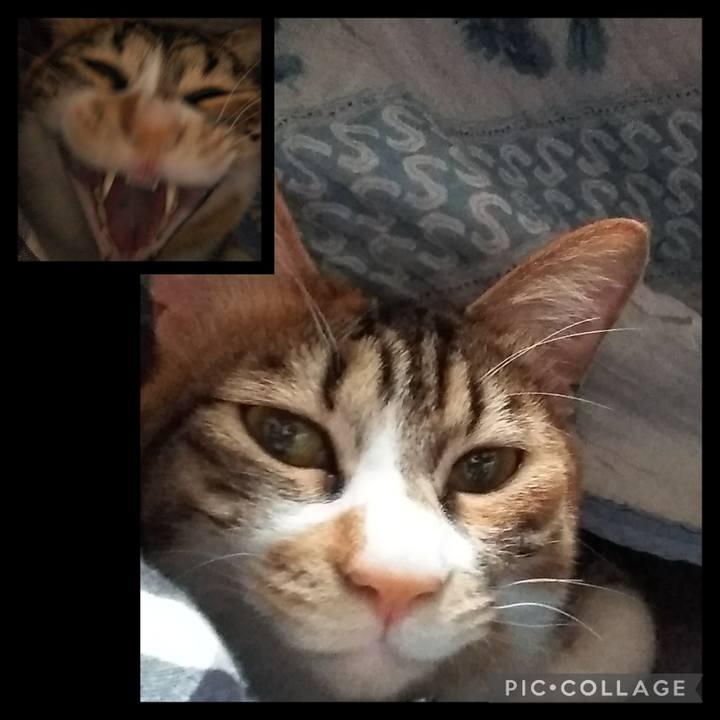 390e4c4e b02c 435c b044 a712f9d1d4d9 1679697468795