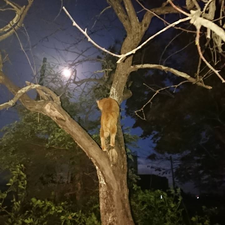 390e9894 8a98 4e6c adc9 d14343a9d748 1652524949794