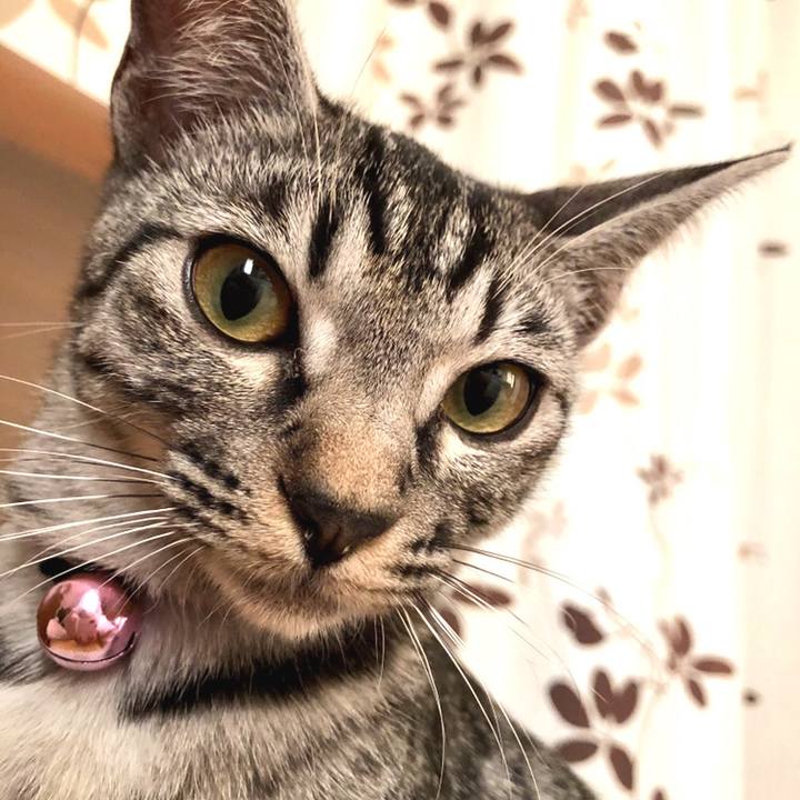 390ea4d3 f43e 4359 96da 88b2731616e5 1540763170469