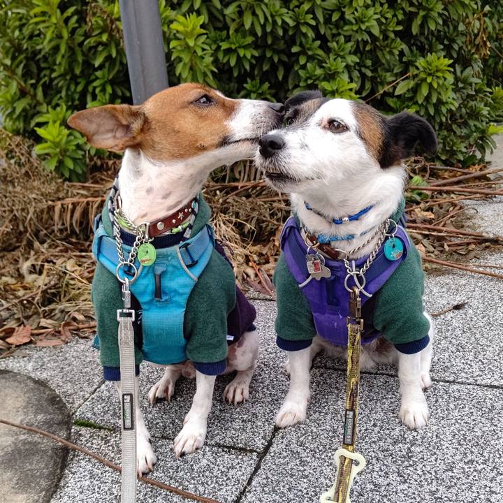 390eb4e0 0371 4163 9509 4c8e9b485c55 1636497584632