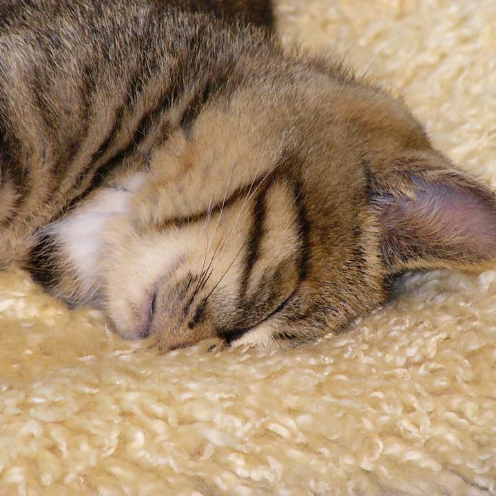 390ebf4f fa7c 479a bbd8 c3e2beba81a4 1610498542134