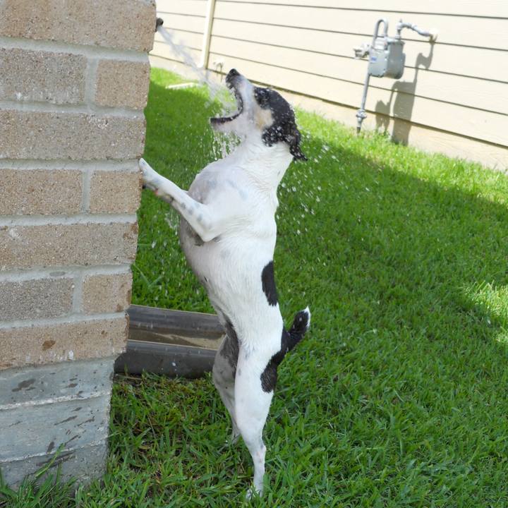 390edff6 f39d 46ea 8064 f6ac8a743bf2 1646690231403