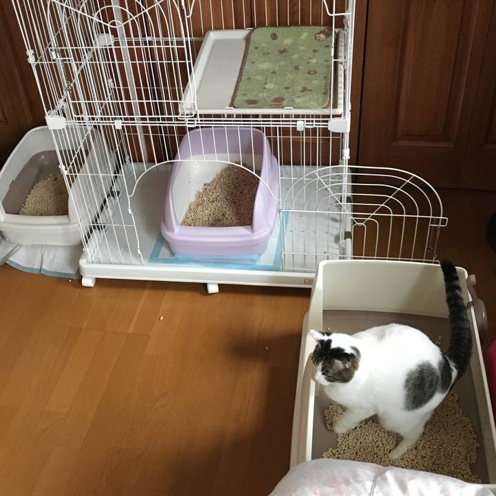 390ef95a 4e4d 4836 9ae6 02902fd4f85a 1536529649402