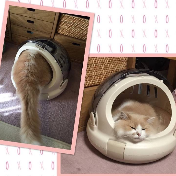 390f0b24 602e 4abd a8f4 f4c06c4b385f 1572687249146