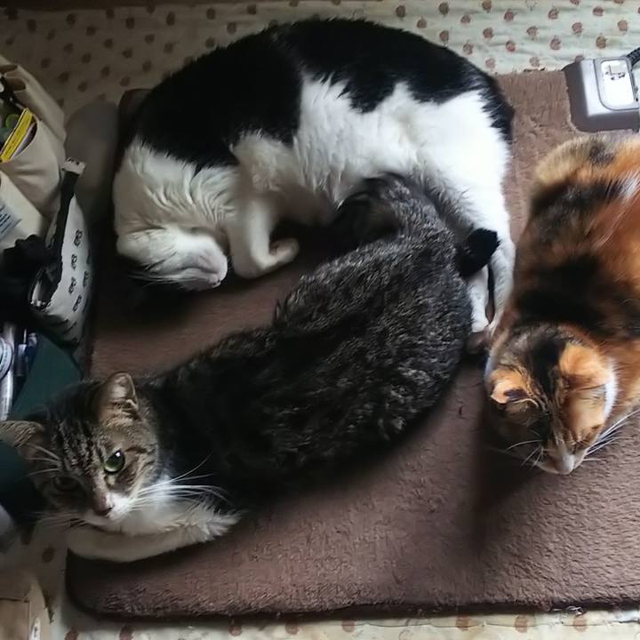 390f2528 988c 4b4a 9fe9 9465685d123a 1583424430980