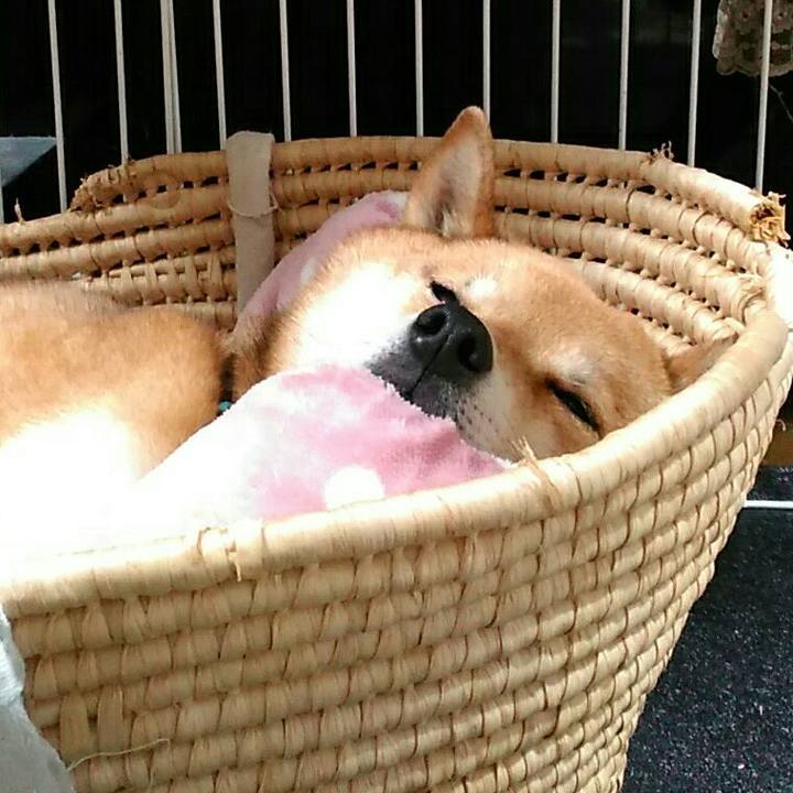 390f3be7 a709 4d99 ba59 ff6baec3e7ec 1551099748648