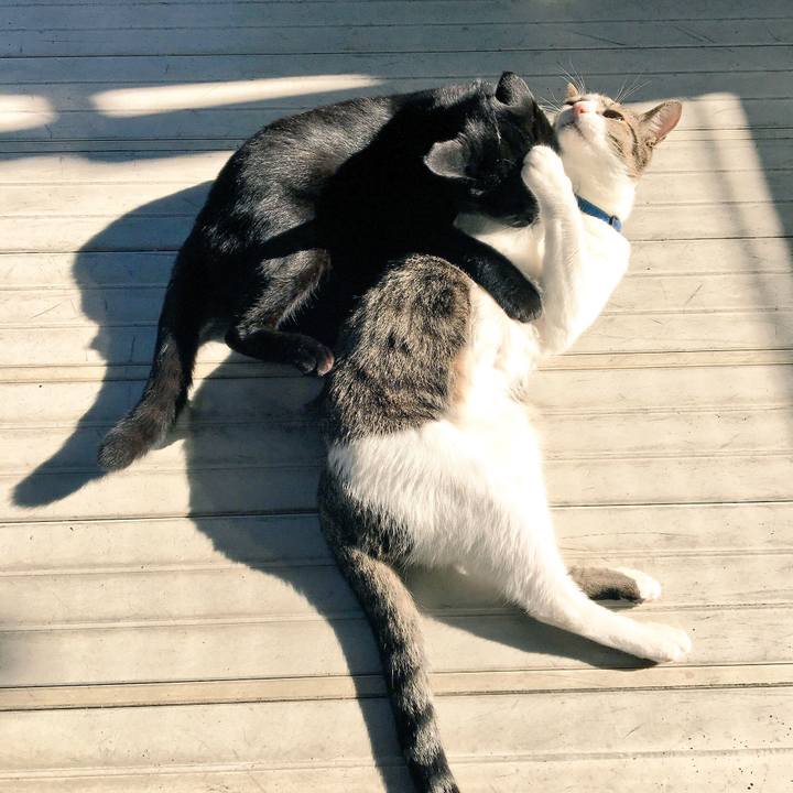 390f5267 d522 4a3e 94cc 0a837ada97a0 1509426576113