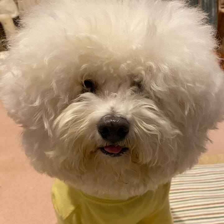 390f70f0 fadc 4dc2 a745 707de207aa5d 1731571464308