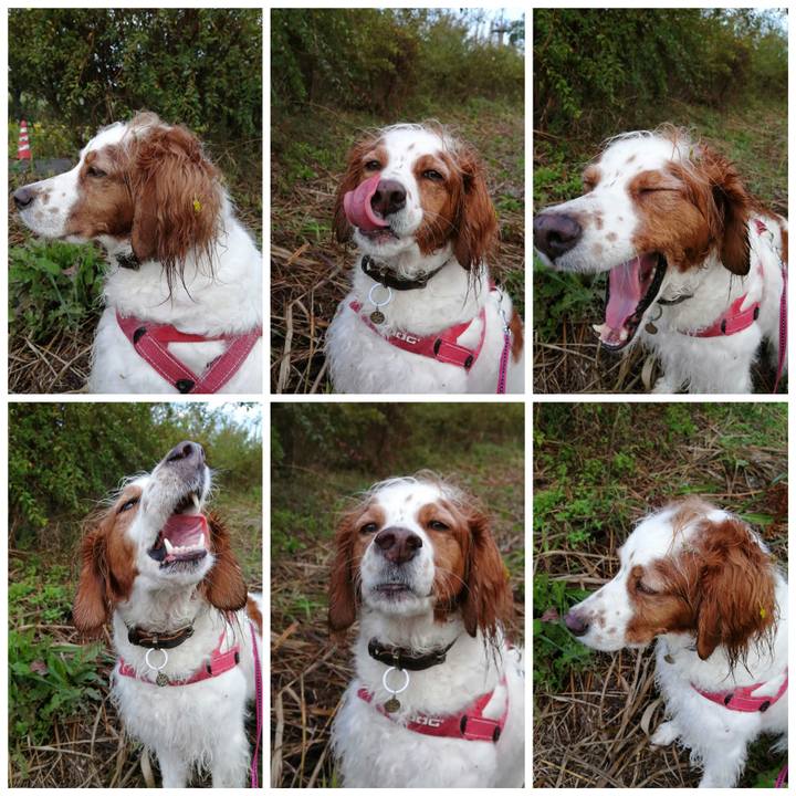 390f773f 35af 48e0 b791 5610a57ff974 1603157610718