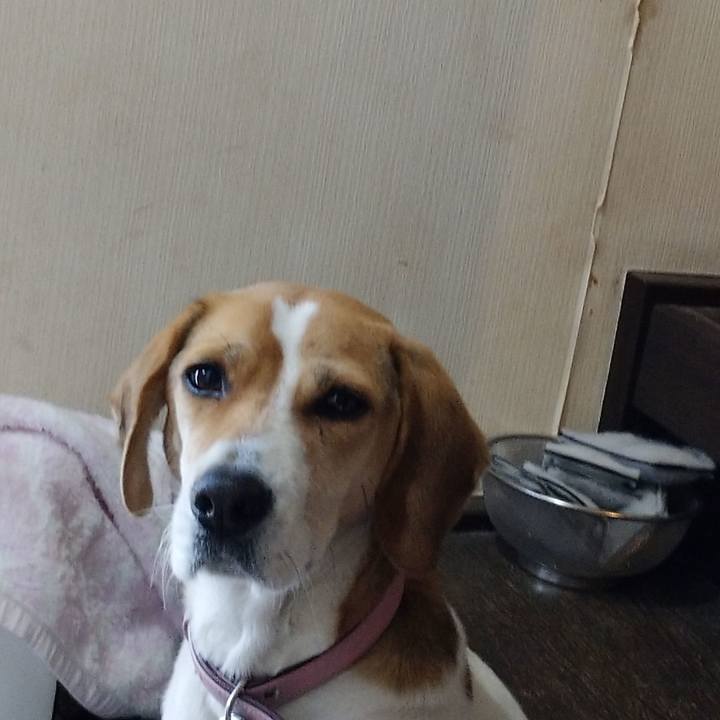 390f8ed9 8005 4526 9a7e 129d5b829dca 1578628114163