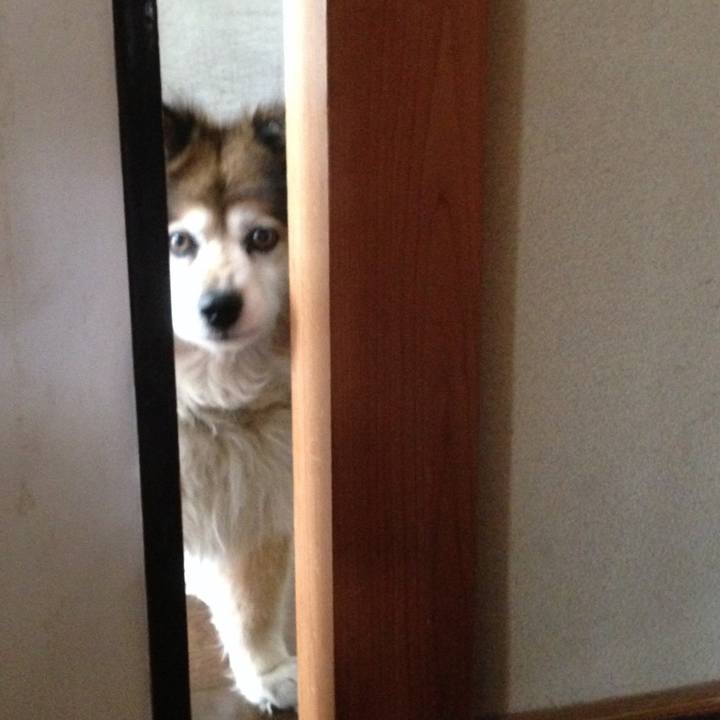 390fb143 fe69 4d64 b1d3 ba922dd7944a 1603183346708